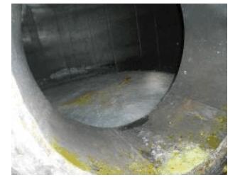 1583389611335475.jpg QQ截圖20200305141838.jpg